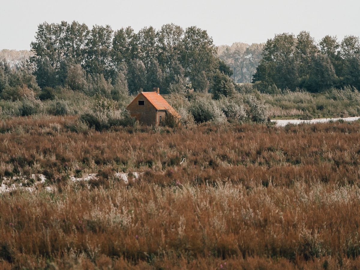 que faire en hollande-hollande nature-parcs nationaux de hollande-pays-bas