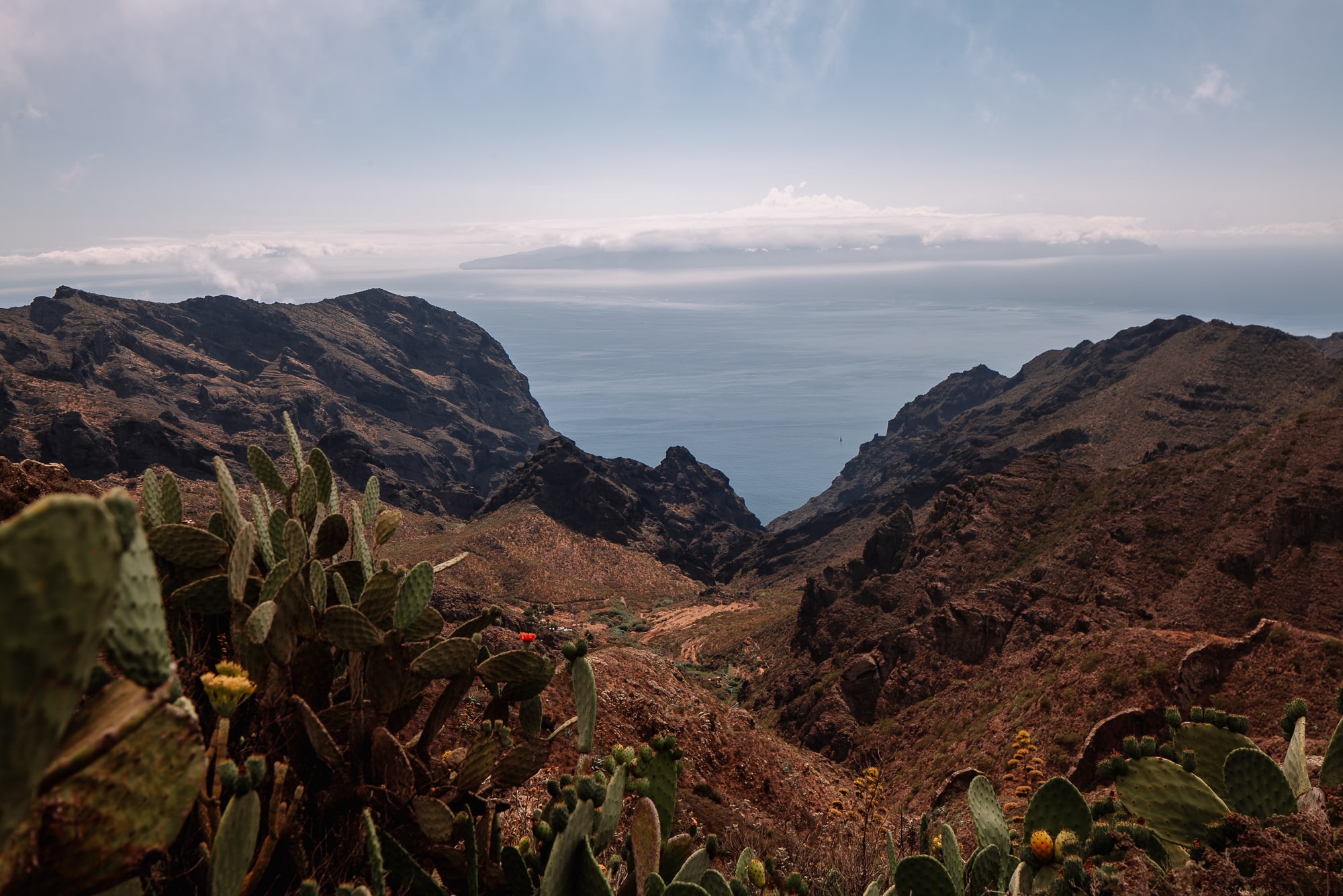 Image Que faire à Tenerife ? Découverte de la plus grande île de l’archipel des Canaries